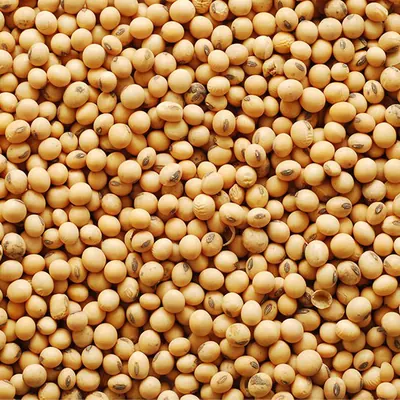 Soybeans